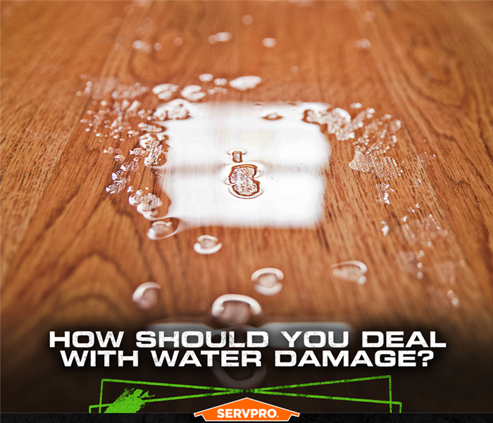 A pool of water on hardwood flooring with the caption: "HOW SHOULD YOU DEAL WITH WATER DAMAGE?" and SERVPRO logo